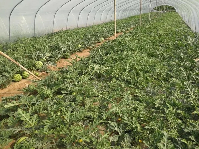 ����ʩ�ЙC�ʣ���ע���@Щ���}