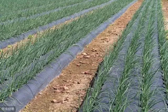 ����ʲô�r�gʩ�ʣ�����ʩ�ʷ�����ʲô��