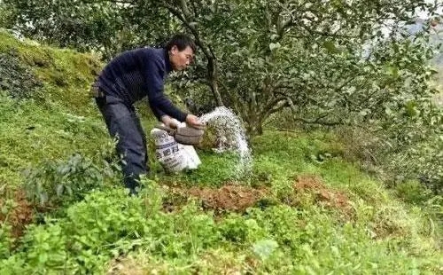 �����_����ԓ���ʩ��������ʩ�ʼ��g��