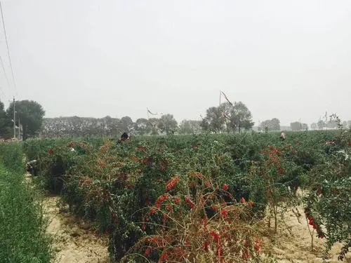 ��������ʩ�ʵģ����ʩ����Ҫע��ʲô��