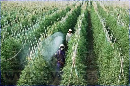 ���t�����ʩ�ʣ����t��ʩ�ʷ�������Щ��