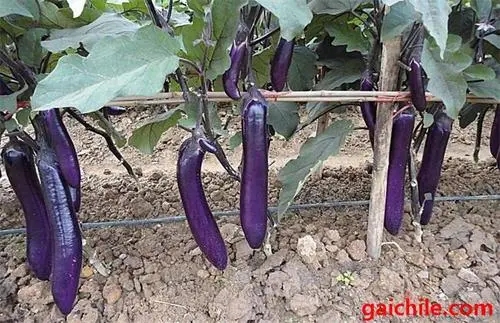 �ļ��ߜ��������׷�ʣ��ļ�����׷��ע����헣�