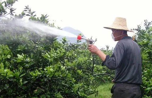 ��ʩ�~����кκ�̎��