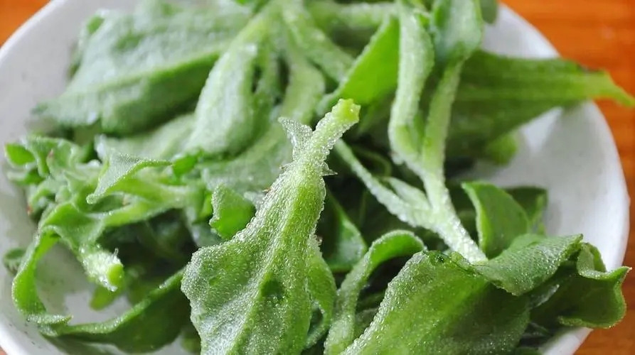 ������ηNֲ�����˷Nֲ���}ԓע����Щ��