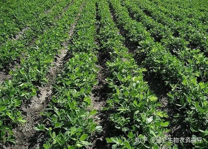 �����~��ʑ�(y��ng)ԓ���ʩ�ã������~��ʵ�ʩ�ü��g(sh��)��