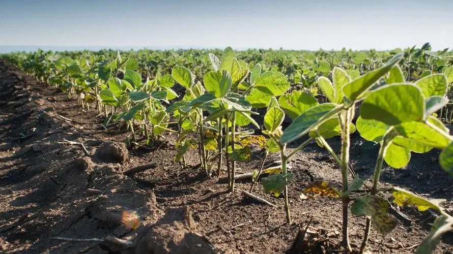 ����߲������ʩ�ʵģ�����߲�ʩ�ʼ��g��