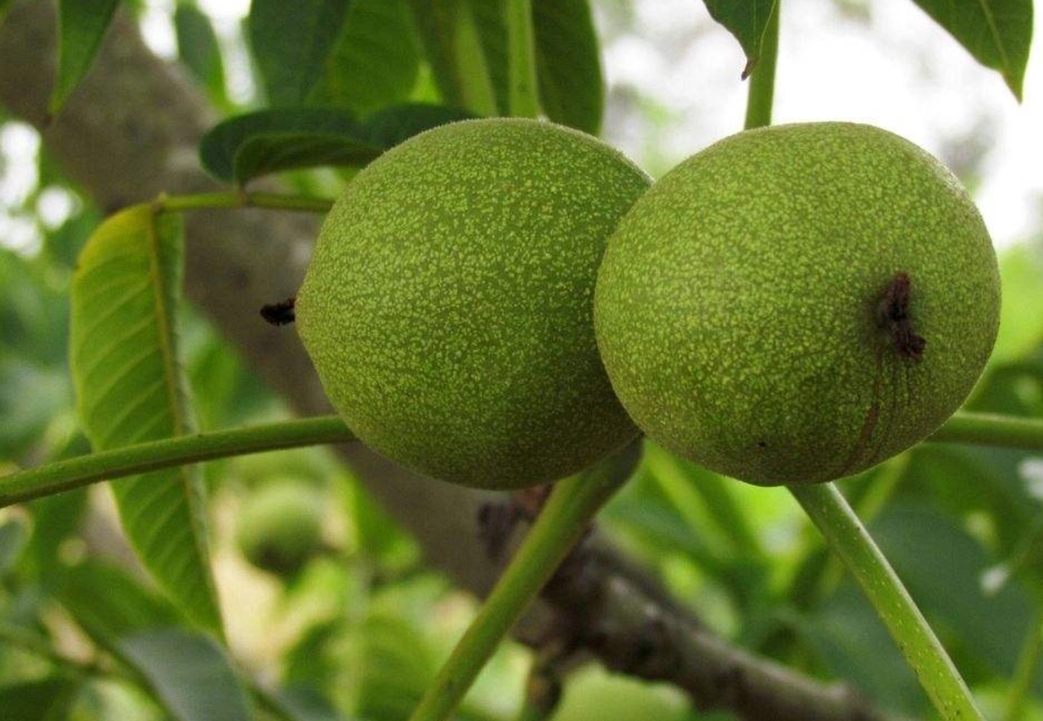 ������·�ʩ�~��ʣ������~�懊�ʼ��g(sh��)��ʲô��