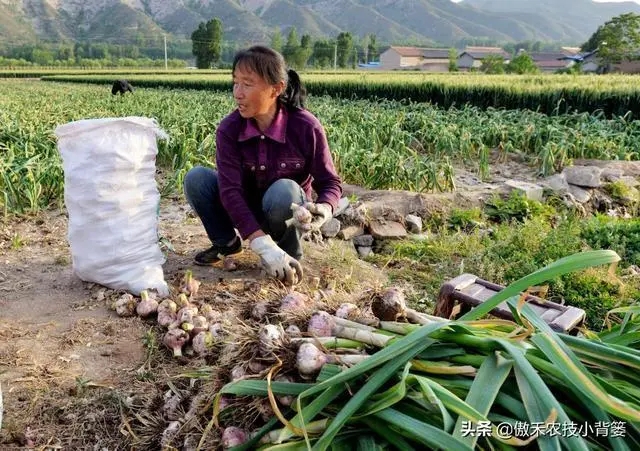 ����׷�ʑ�ʲô�r��׷�ʣ���νo����׷�ʣ�