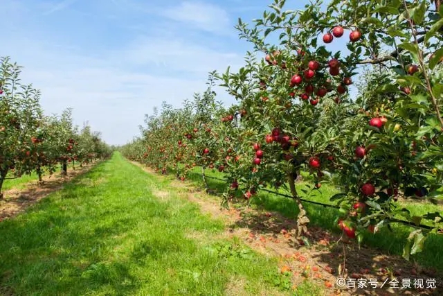 �������ʹ�Û_ʩ�ʣ�����Щ�`�^��