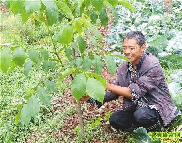 ������·�ʩ�~����������~�懊�ʼ��g��ʲô��