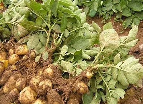 �������ʩ�ʣ�����ʩ�ʷ�����ʲô��