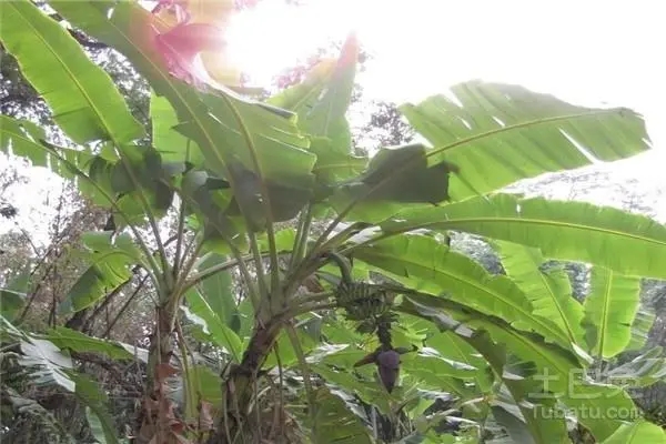 �Ž��Nֲע����Щ���}���Ž����ʩ�ʣ�