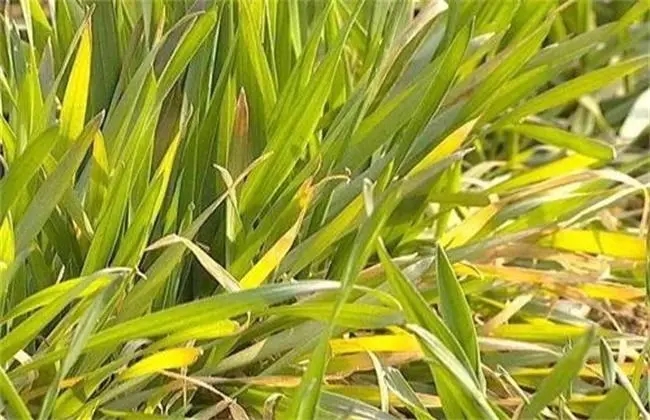 ����l(f��)�S��ʲôԭ������l(f��)�S����a(b��)�ȣ�