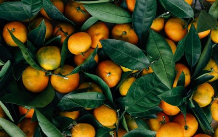 Ě�Ȳ�ͬ���L����ôʩ�ʣ�Ě��ʩ�ʼ��g(sh��)��