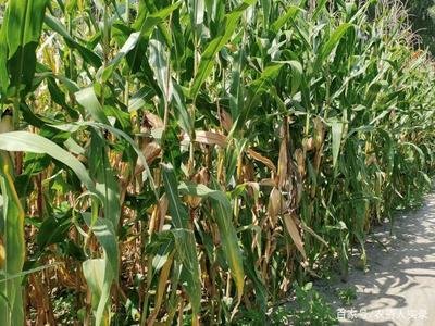 2022�걱�������׿ƌWʩ��ָ����Ҋ