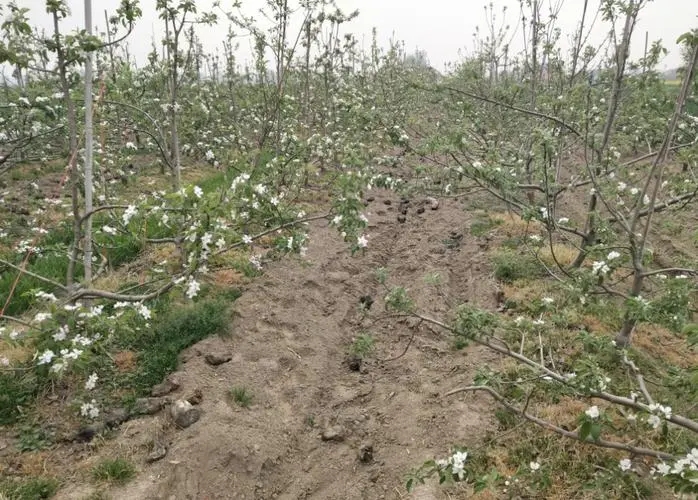 �O��Ҫ�߮a���������@��ôʩ�ʣ�