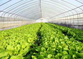 ����O(sh��)ʩ�߲˶�ֲҪ�c(di��n)