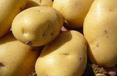 �R����~�ݲ��Y��R����~�ݲ����η���