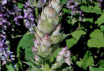 ���K���ԟo��������ô�����K�o�������༼�g