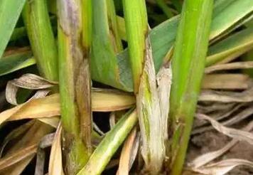 С���y�ݲ���ô������С���y�ݲ��ķ���Ҫ�c