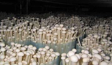 ��ᘹ��L�ò����R���A(y��)����ʩ