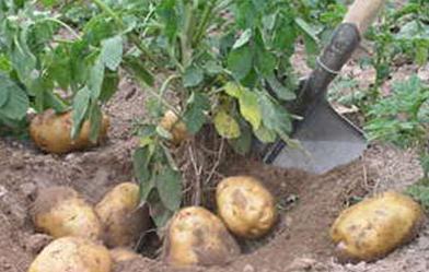 �R�����������ô�k����η����R���������