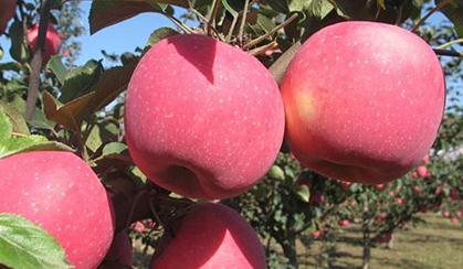 �O���ර����ô�k���O���ර���ķ��η���