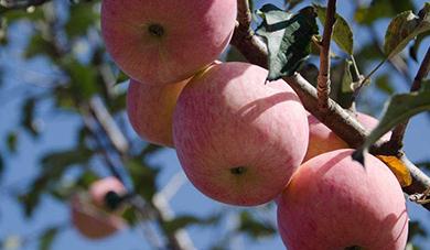 �O���@�g������ע�����