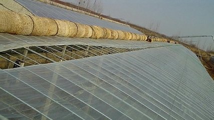 ������L������ĕ��᣿