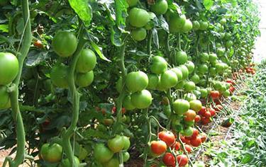 ���Ѿ��˲���ô�k�����Ѿ��˲��ķ��η���