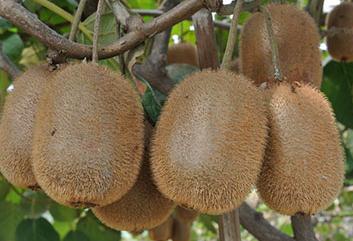 �J�����ڷەr�g����غͷ������Y