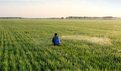 С������݄�����Щ�������x��С������݄�