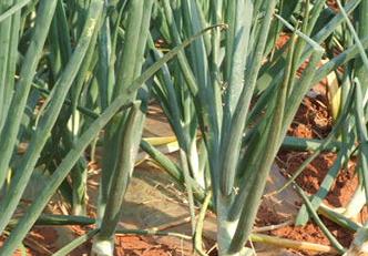 ���[˪ù���İY����ʲô�����[˪ù���ķ��η���