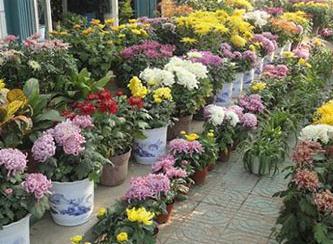 �ջ���������ô�����Ծջ����Bֳ����