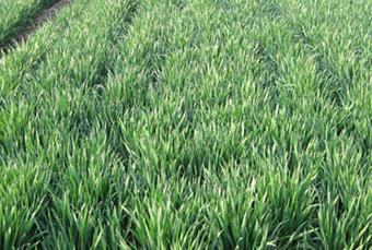 С���~�P����ô�k��С���~�P���ķ��η���