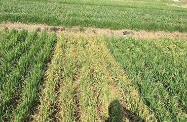 ���궬����ܳ��F�O����⣬С�����������x��Ҫע�⣡��Ԕ����