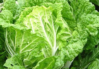 �ײ˺ְ߲����@΢�R�e�c�C�Ϸ���