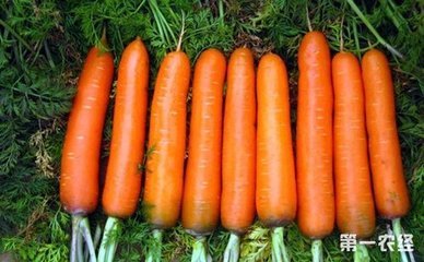 �o���������}�����෽��