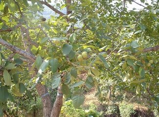 ���Ҙ�(sh��)���ط���Ҫ�I(l��ng)