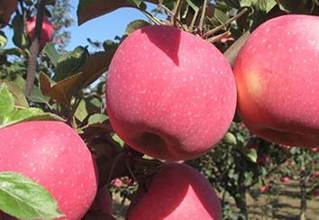 �O���@�ļ������������@4�c���P�I��