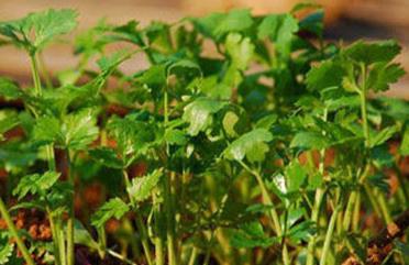 �Nֲ���Ҫע����Щ������