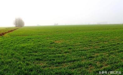 ����̧�^�������؅^(q��)�������������Ҫע���@Щ��