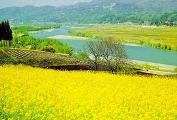 2018�궬�Ͳ˴������g�������g(sh��)ָ��(d��o)��Ҋ(ji��n)