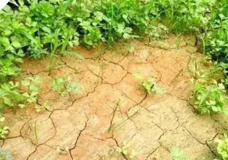 ������������횽�Q�@�����}������Ҫ��