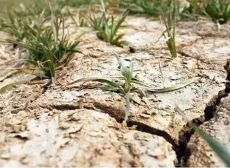 ����(ji��n)�Σ����Üy(c��)���x�������Д���ҵ���ɶ��(w��n)�}��