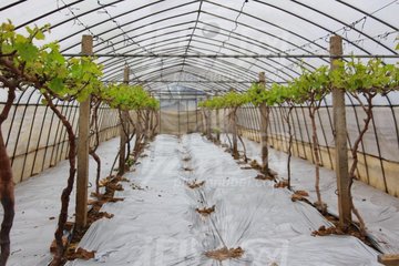 �����^�󣬴����@�ӹ�������Ҫ��