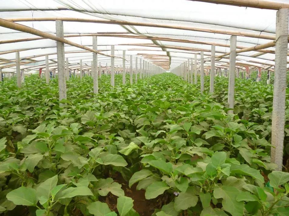 ���r(n��ng)ע�⣺���������׃�������Ҳ�ø���׃��