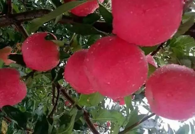 ��ֹ���@�܃��ܺ���������@ô����