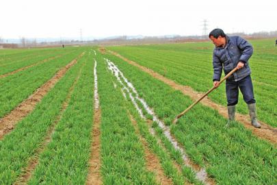 ���С������ƫ�������������@5�c(di��n)���ܵø߮a(ch��n)��