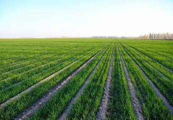 2018�괺����С����ܼ��g